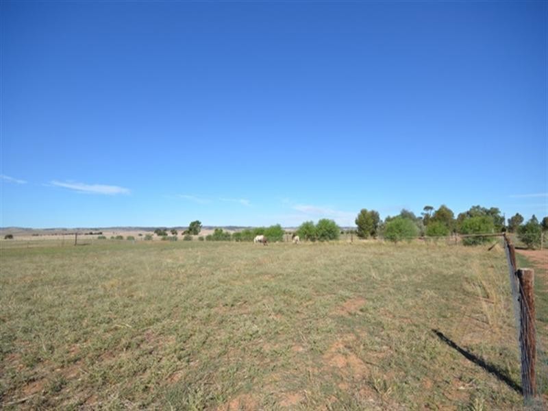 “Ashwood” Pipeline Road, Clare SA 5453