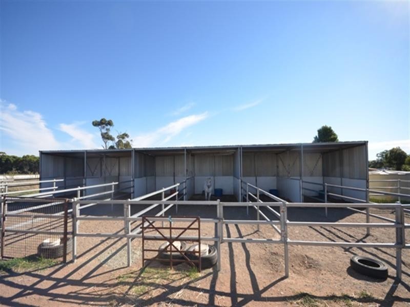 “Ashwood” Pipeline Road, Clare SA 5453