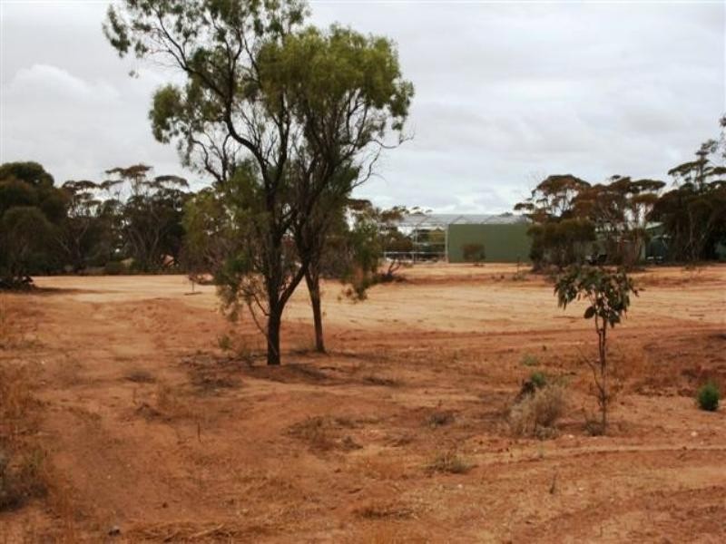 Block 233 Lot 95 Kimba Road, Cowell SA 5602