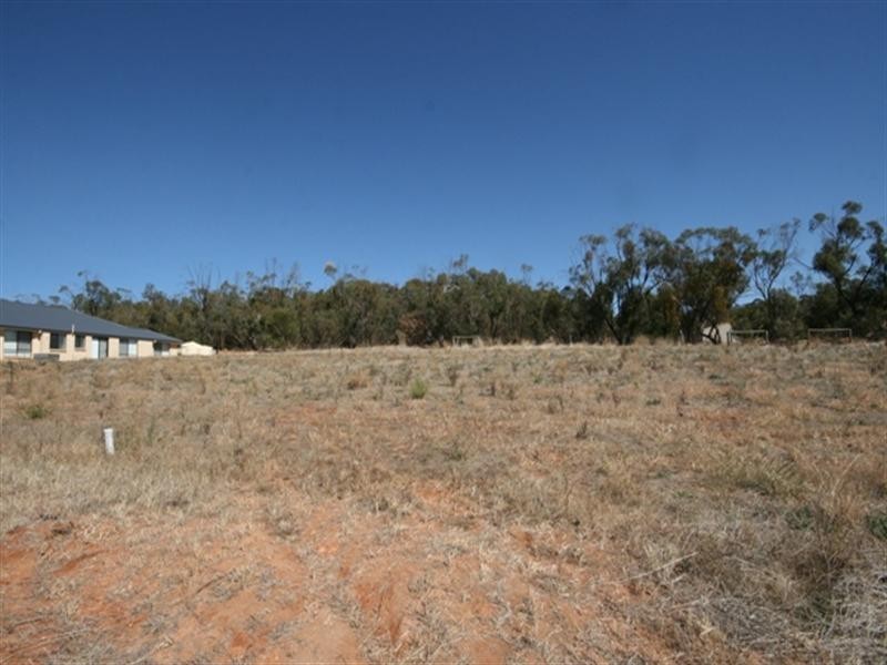 Lot 107 Tamblyn Street, Clare SA 5453
