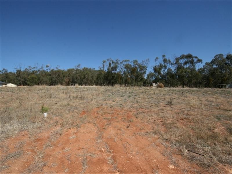 Lot 106 Tamblyn Street, Clare SA 5453