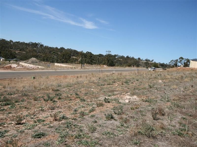 Lot 106 Tamblyn Street, Clare SA 5453