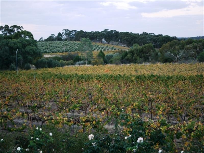 Lot 1 Hicks Road, Clare SA 5453