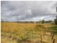 Lot 6 Lyndoch Valley Road, Williamstown SA 5351