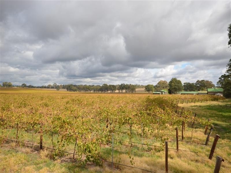 Lot 6 Lyndoch Valley Road, Williamstown SA 5351