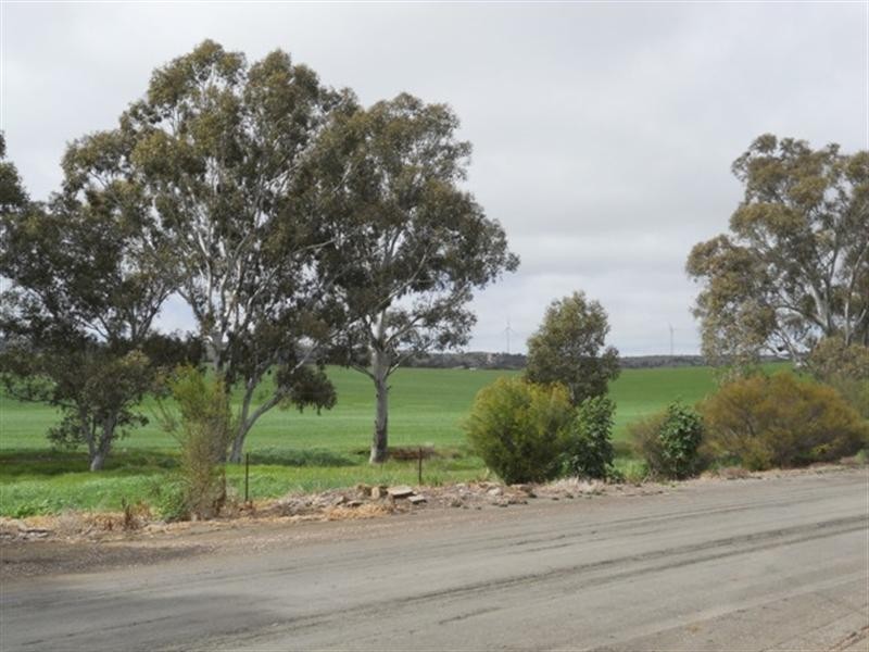 34 Queen Street, Waterloo SA 5413