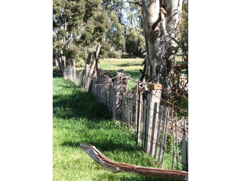 Lot 399 Napier Street, Farrell Flat SA 5416