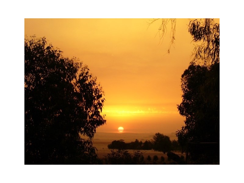 Lot 399 Napier Street, Farrell Flat SA 5416