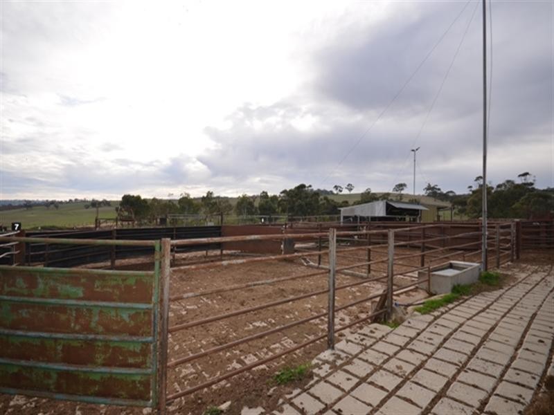 Feedlot Muana Road, Spring Gully SA 5453