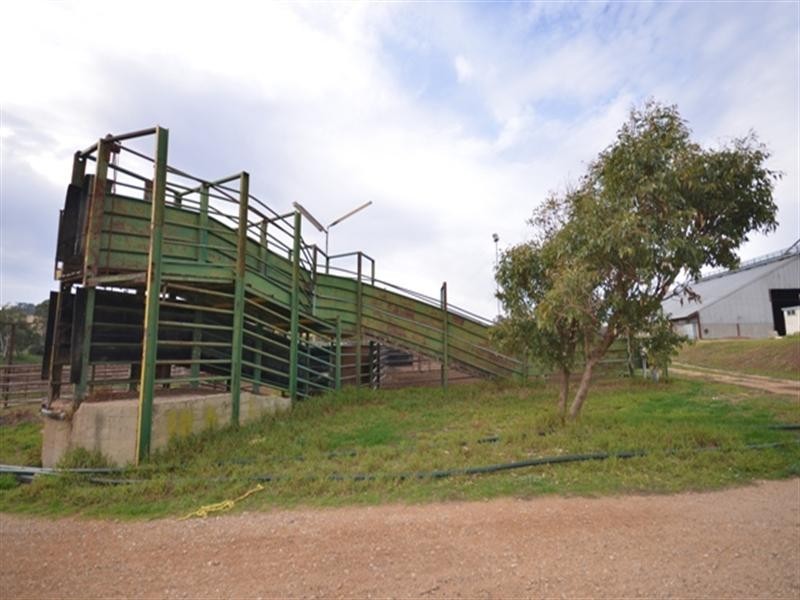 Feedlot Muana Road, Spring Gully SA 5453