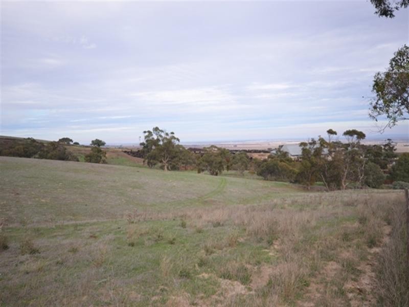 Feedlot Muana Road, Spring Gully SA 5453