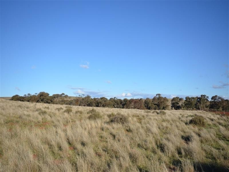 “Charlies” Sections 80 and 83S, Mount Bryan East SA 5419