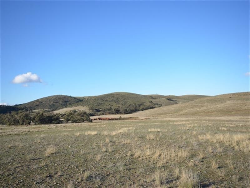 “Charlies” Sections 80 and 83S, Mount Bryan East SA 5419