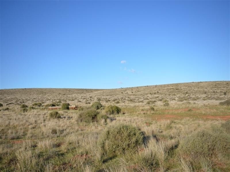 “Charlies” Sections 80 and 83S, Mount Bryan East SA 5419