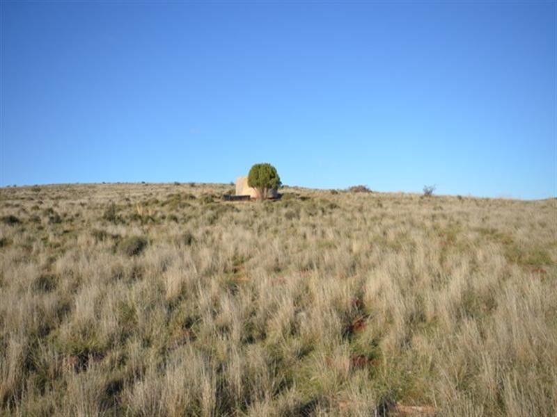 “Charlies” Sections 80 and 83S, Mount Bryan East SA 5419