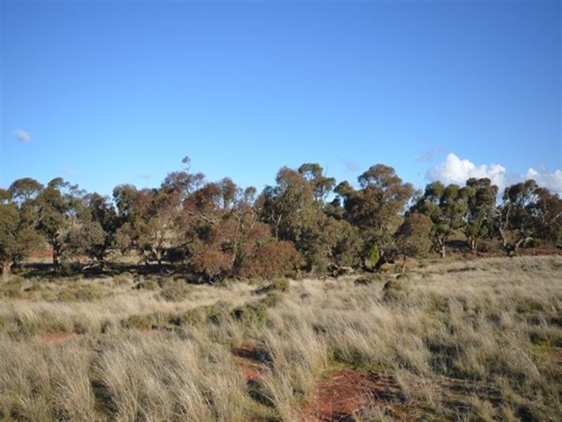 “Charlies” Sections 80 and 83S, Mount Bryan East SA 5419