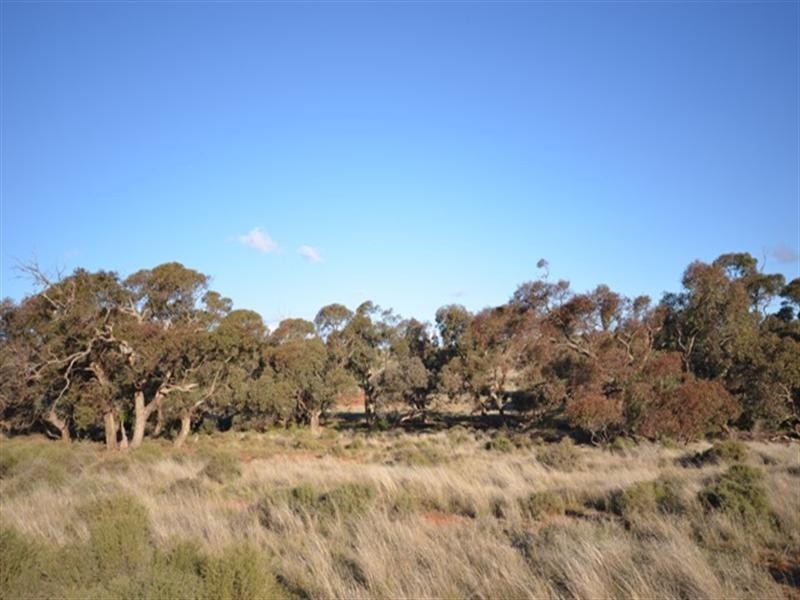 “Charlies” Sections 80 and 83S, Mount Bryan East SA 5419