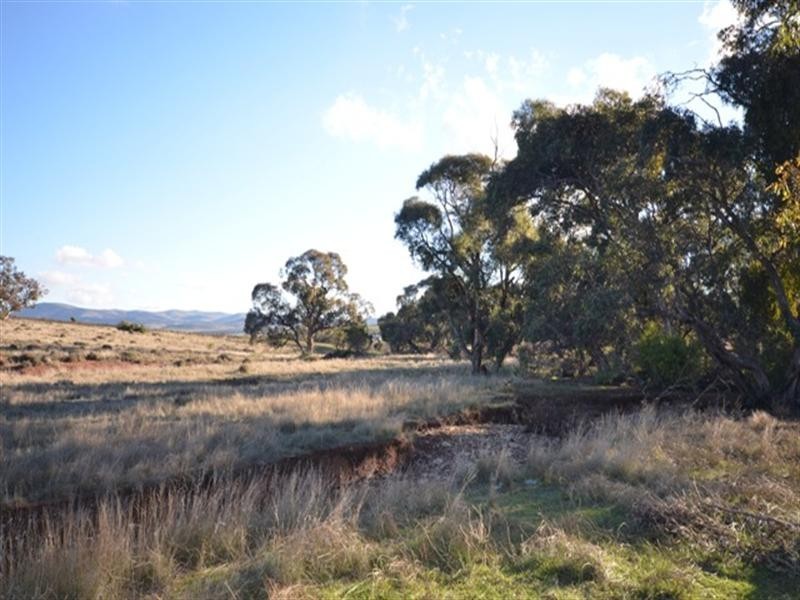 “Charlies” Sections 80 and 83S, Mount Bryan East SA 5419