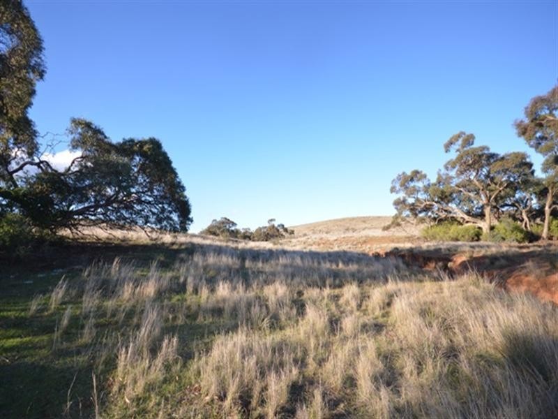 “Charlies” Sections 80 and 83S, Mount Bryan East SA 5419