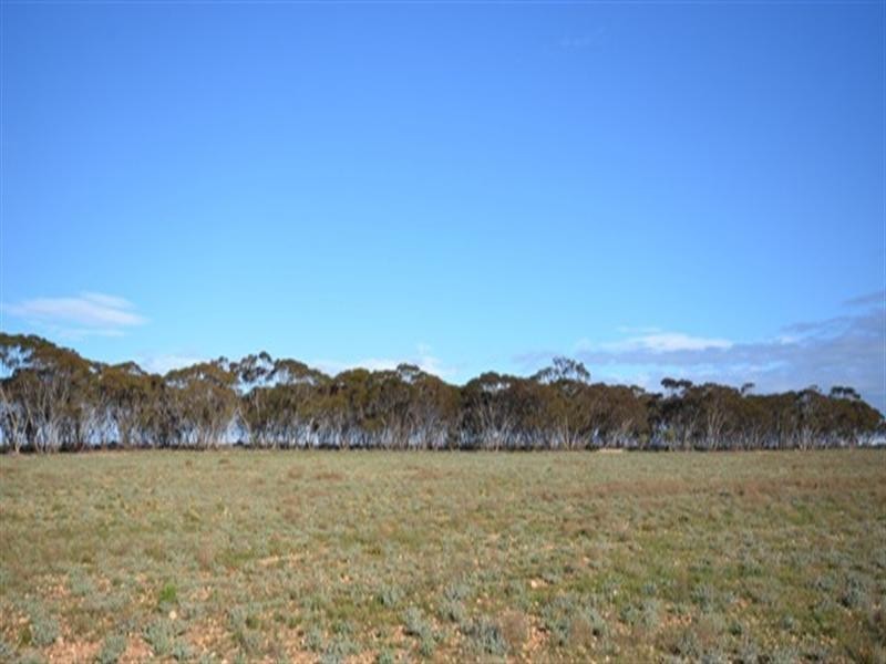 “Maders Block” Bower – Robertstown Road, Australia Plains SA 5374