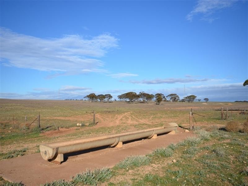 “Maders Block” Bower – Robertstown Road, Australia Plains SA 5374