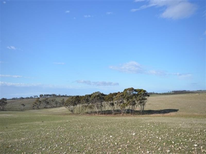 “Maders Block” Bower – Robertstown Road, Australia Plains SA 5374