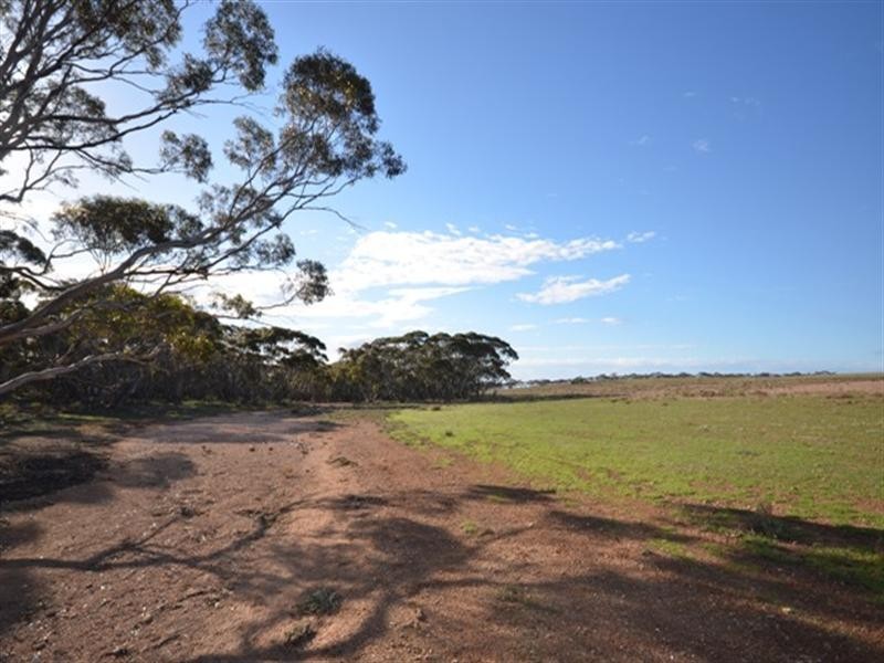 “Maders Block” Bower – Robertstown Road, Australia Plains SA 5374