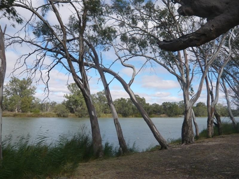 Lot 16 “Ridgeway”, Murbko SA 5320