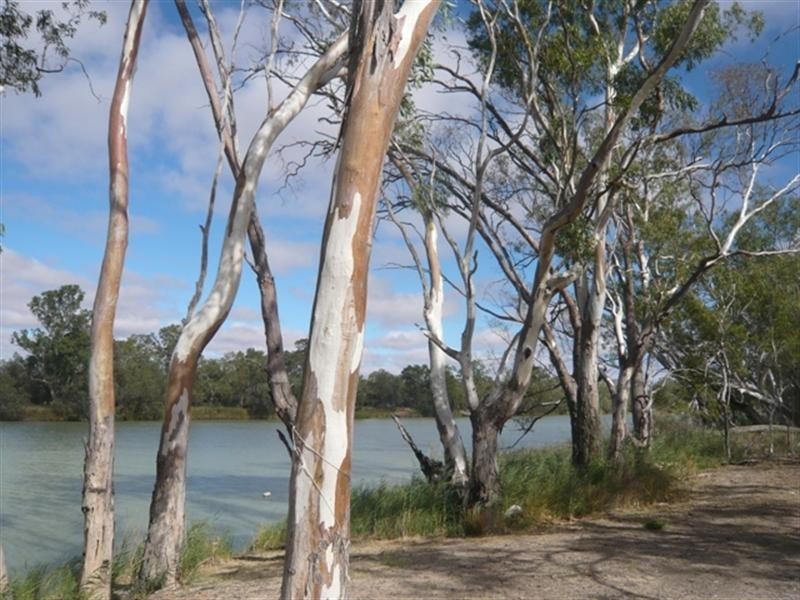 Lot 16 “Ridgeway”, Murbko SA 5320