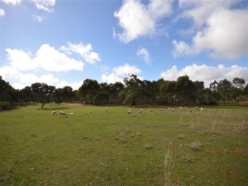 Lot 19 Klemm Road, Kapunda SA 5373