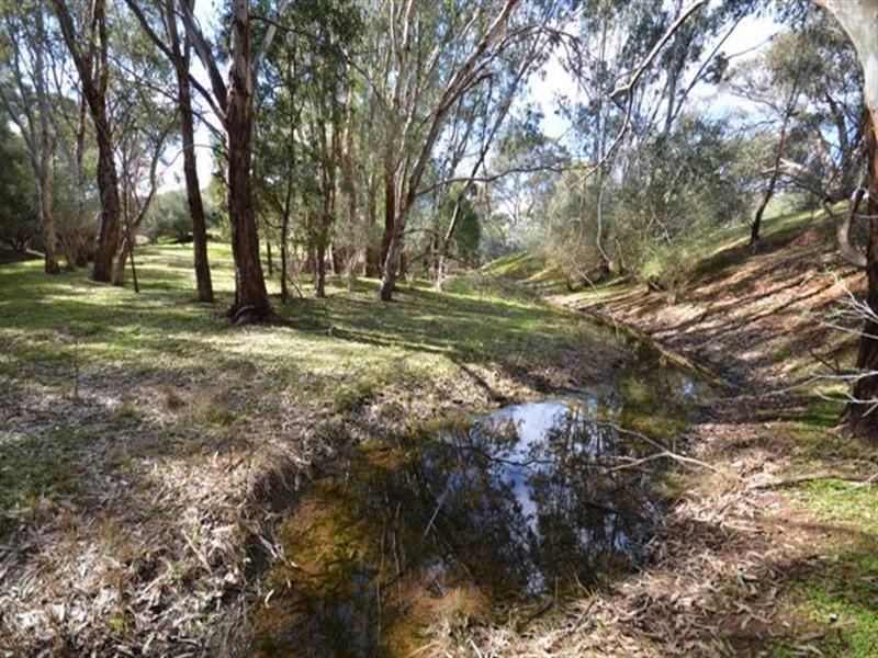 Lot 19 Klemm Road, Kapunda SA 5373