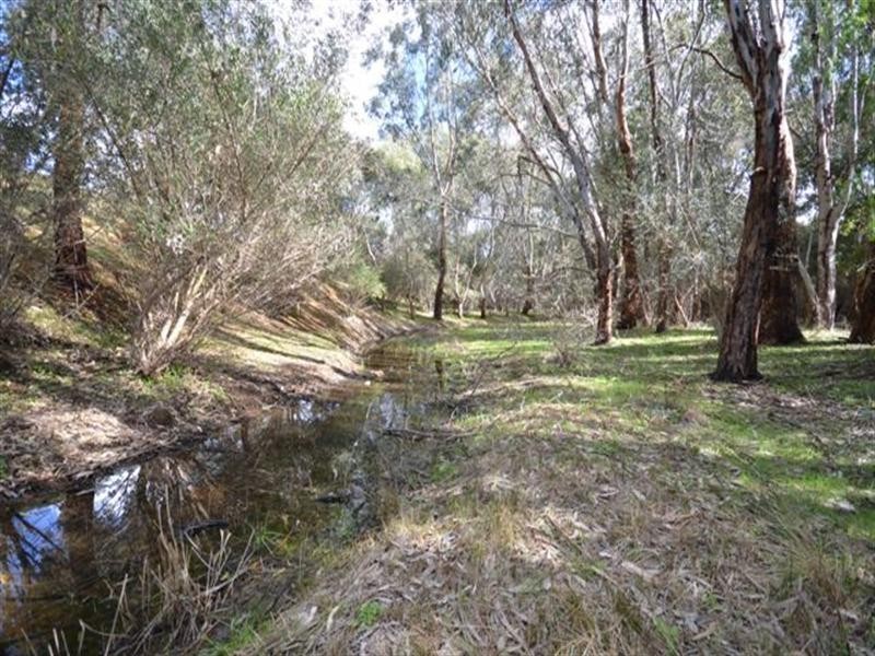 Lot 19 Klemm Road, Kapunda SA 5373