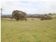 Lot 51 Moccundunda North Road, Clare SA 5453
