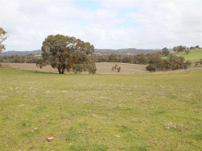 Lot 51 Moccundunda North Road, Clare SA 5453