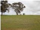 Lot 51 Moccundunda North Road, Clare SA 5453