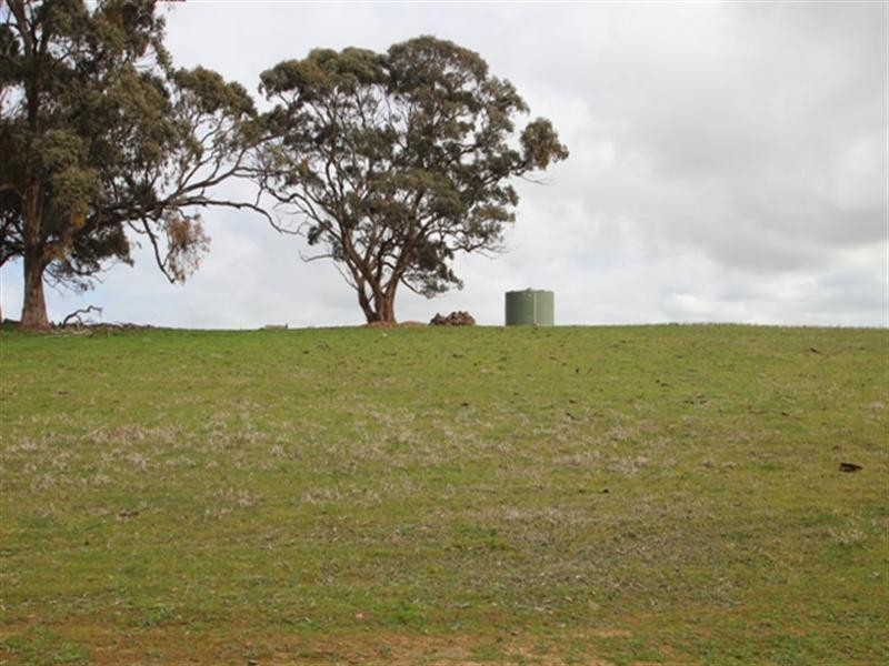 Lot 51 Moccundunda North Road, Clare SA 5453