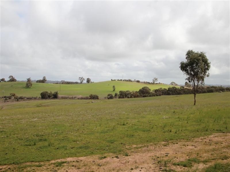 Lot 51 Moccundunda North Road, Clare SA 5453