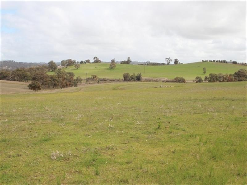 Lot 51 Moccundunda North Road, Clare SA 5453