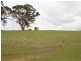 Lot 51 Moccundunda North Road, Clare SA 5453