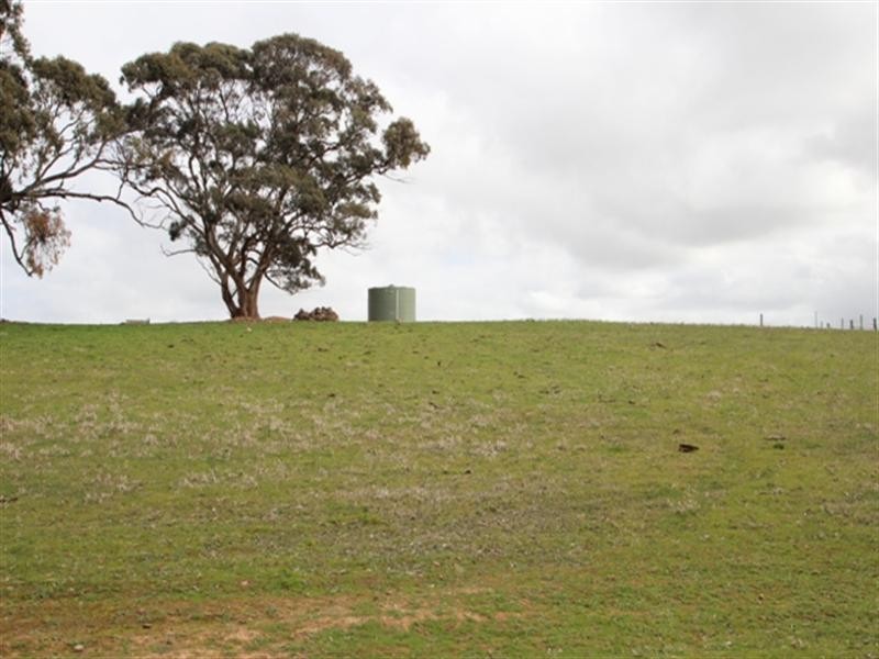 Lot 51 Moccundunda North Road, Clare SA 5453