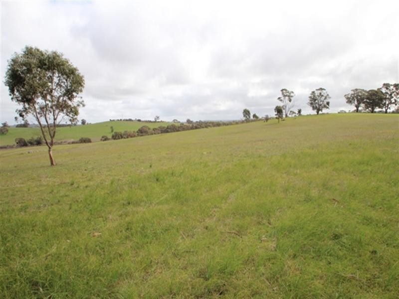 Lot 51 Moccundunda North Road, Clare SA 5453