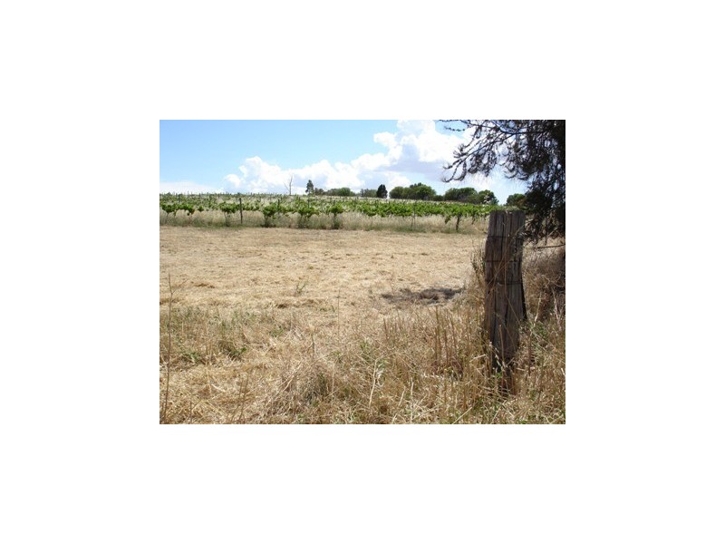 Lot 12 Government Road, Auburn SA 5451