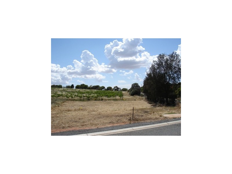 Lot 12 Government Road, Auburn SA 5451