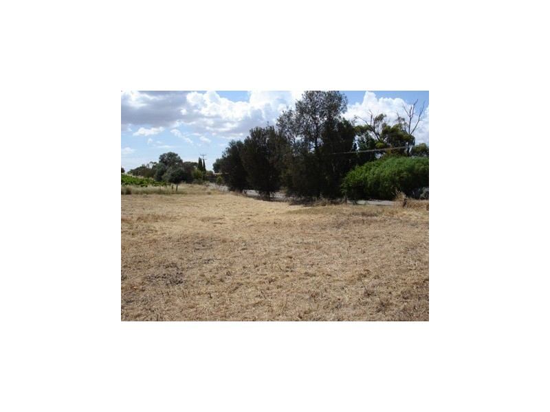 Lot 12 Government Road, Auburn SA 5451