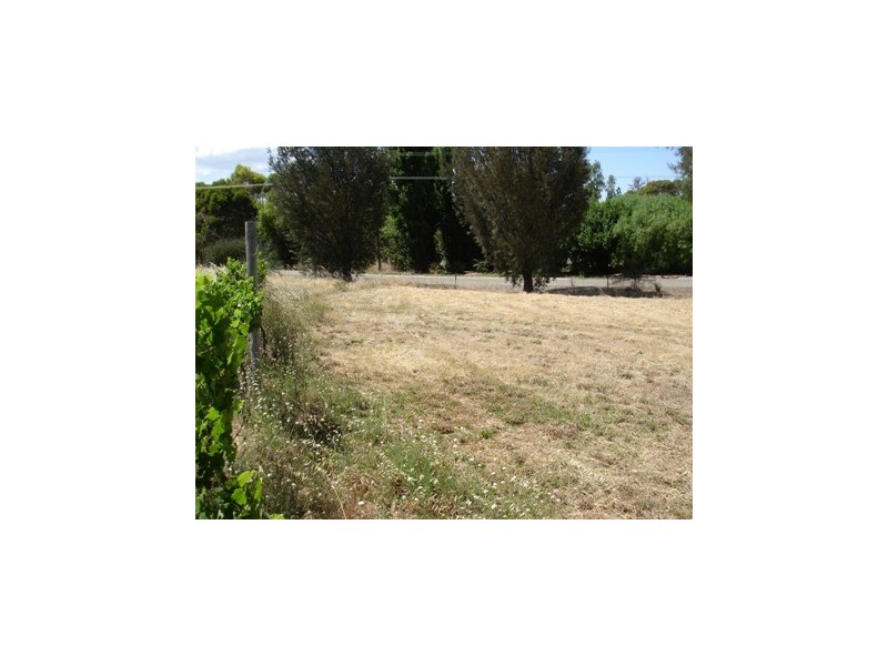 Lot 12 Government Road, Auburn SA 5451