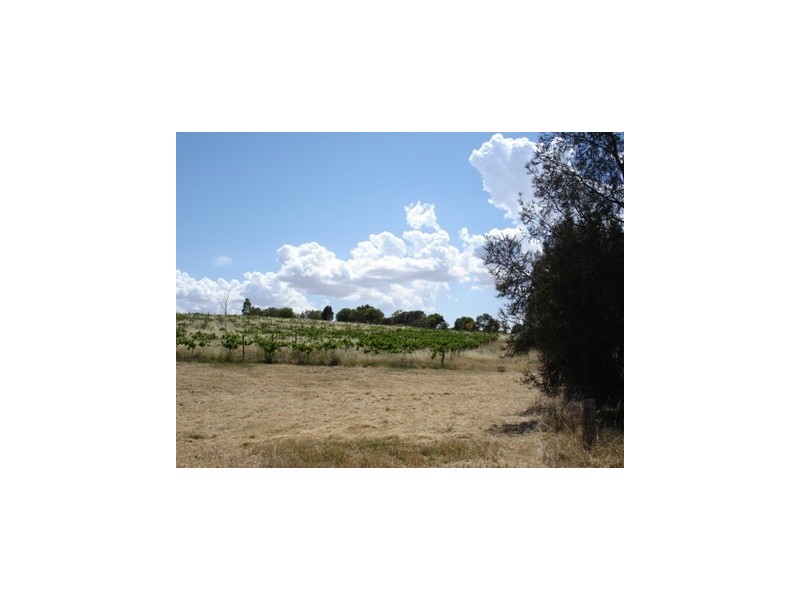 Lot 12 Government Road, Auburn SA 5451