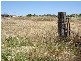 Lot 12 Government Road, Auburn SA 5451