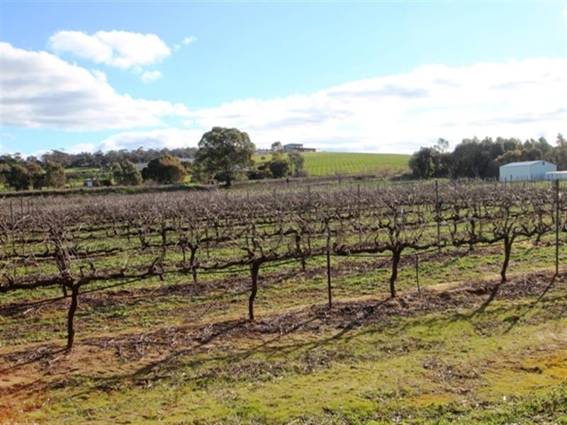 Main North Road, Leasingham SA 5452