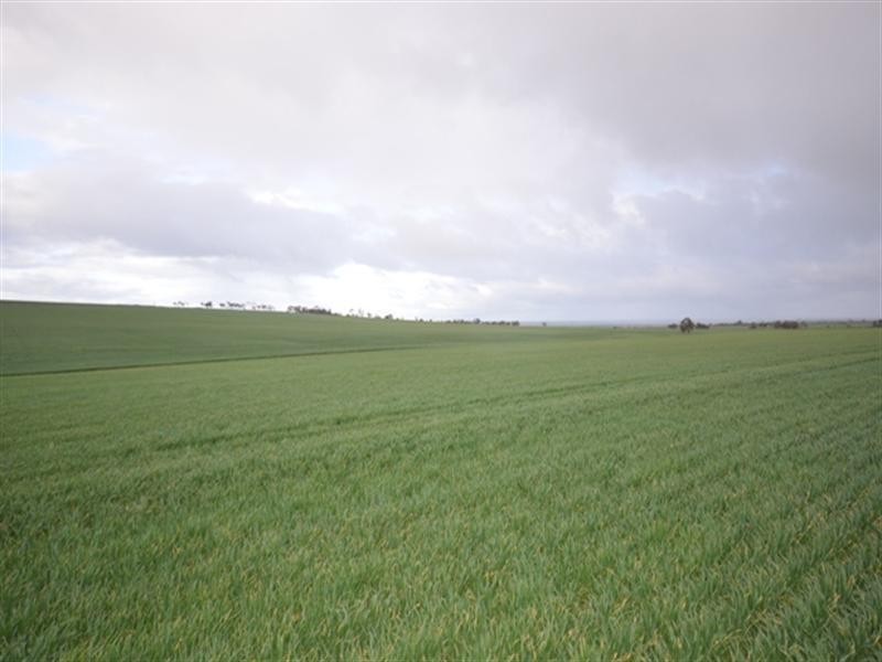 “Wilsons” Various Lots, Whitwarta SA 5461