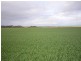 “Wilsons” Various Lots, Whitwarta SA 5461
